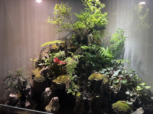 春暖花開，物業(yè)客服前臺綠植養(yǎng)護(hù)日記