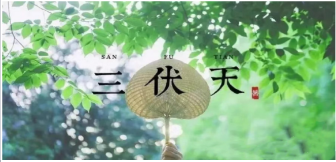 “三伏”駕到，科學防暑